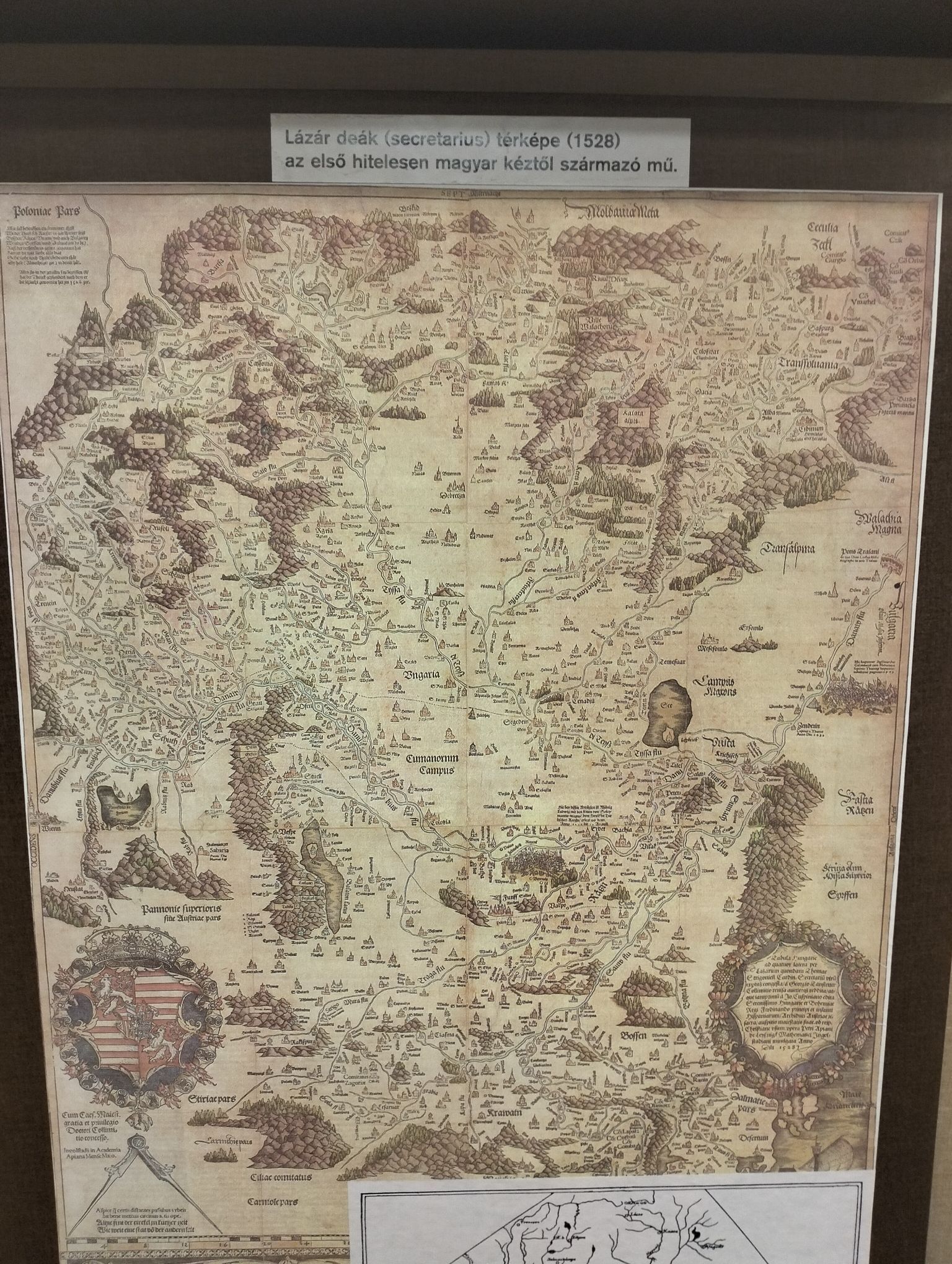1000008635.jpg