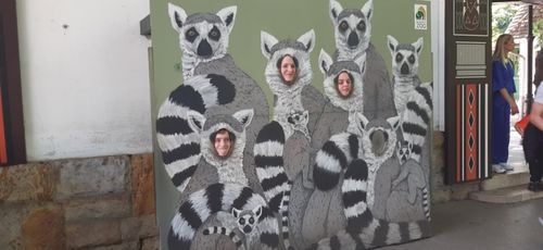 Állatkerti kirándulás