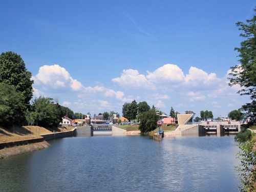 20260619_5.jpg